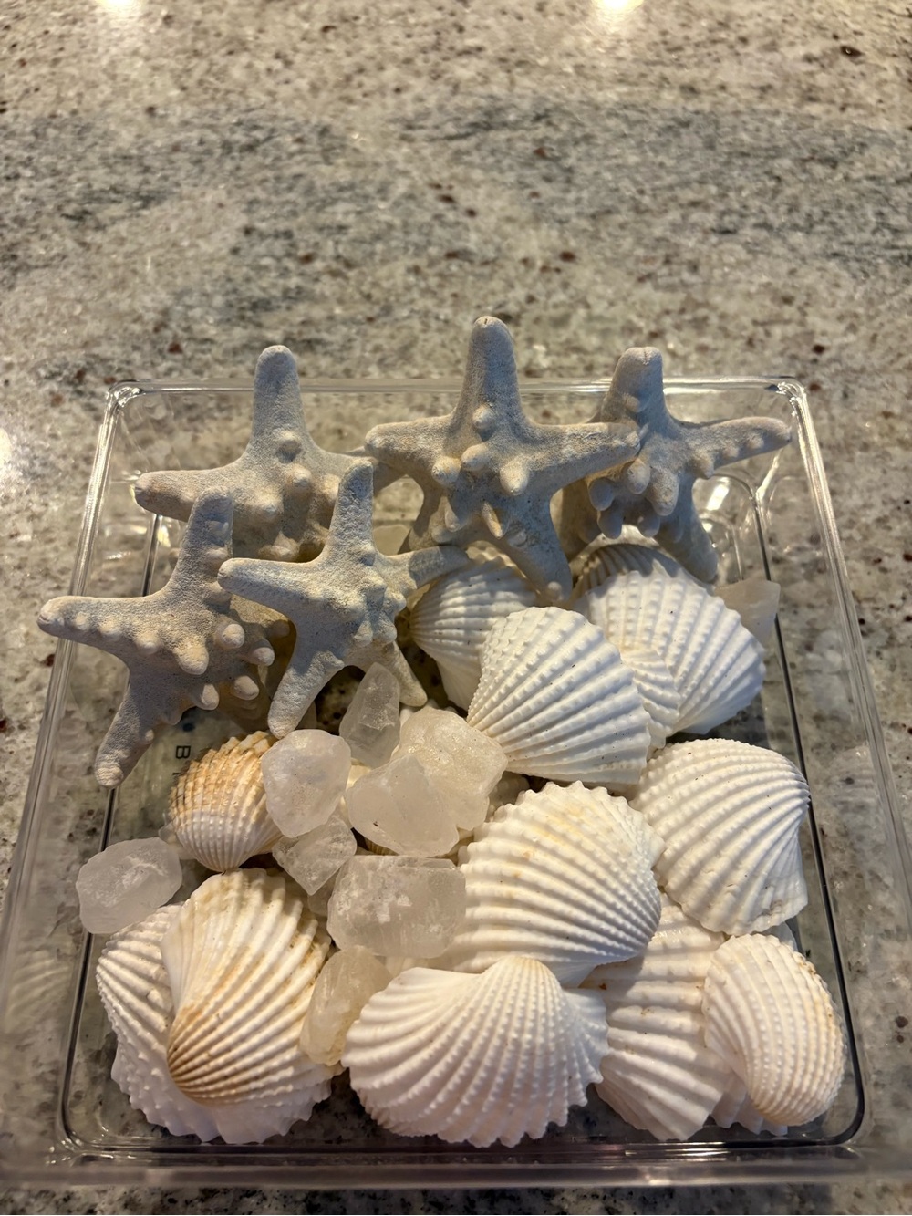 Pottery Barn Decorative Natural Shells, Starfish & Chunks of Sea Salt.